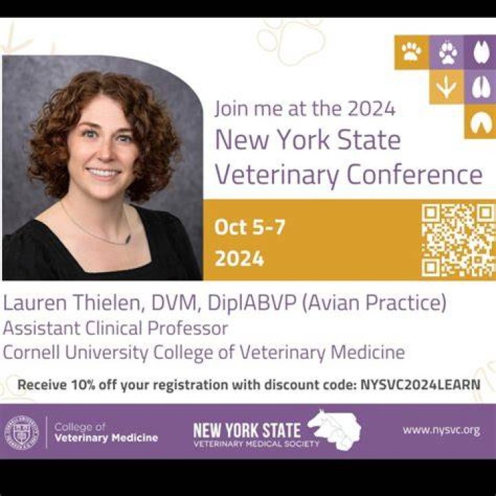 Dr. Lauren Thielen Wiki Know her Husband, Married, Boyfriend, Children