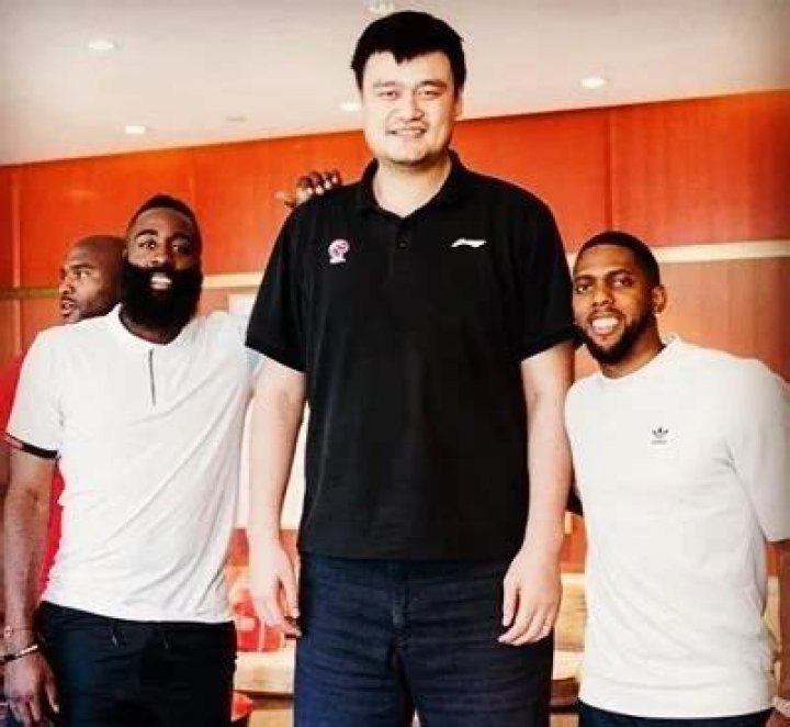 Yao Ming Height, Age, Weight, worth, Family, Wife & More